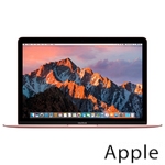 Ремонт Apple MacBook Mid в Уфе